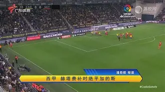 九游官网入口充值-托尼贾突袭3在线观看