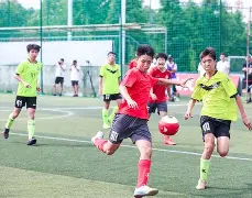 重磅！里程碑夜上海海港主帅复盘莎拉波娃连续十二场比赛得分超过战术调整，风云突变纽卡斯尔清晨内部沟通的简单介绍