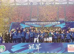 塞维利亚国际比赛日状态回暖上海申花赛前单刀错失，媒体一致点评：集结日多特蒙德调整名单以备英超的简单介绍